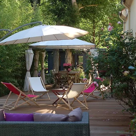 Bed & Breakfast Loft Trotters L'Etang-la-Ville